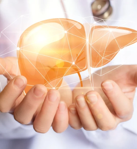 صورة باقة تحاليل وظائف الكبد الشاملة - لتحليل صحة الكبد وكفاءته