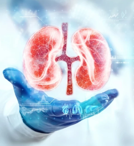 صورة باقة تحاليل وظائف الكلى الشاملة - لتحليل توازن الأملاح وصحة الكلى