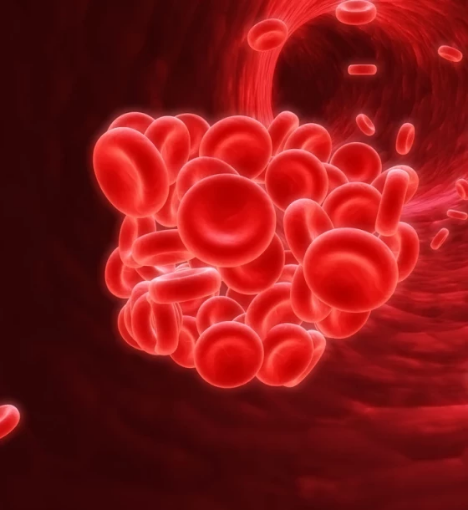 صورة باقة تحاليل تخثر الدم - لتقييم كفاءة تخثر الدم والسيولة