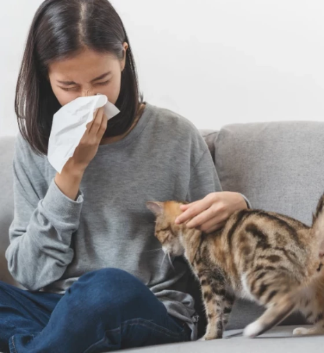 صورة باقة حساسية التنفس - للكشف عن مسببات الحساسية التي تؤثر على الجهاز التنفسي