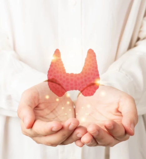 صورة باقة تحاليل العناية بالغدة الدرقية - فحص صحة الغدة الدرقية