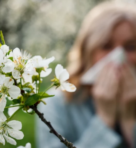 صورة تحاليل الحساسية - رعاية صحية شاملة للحساسية
