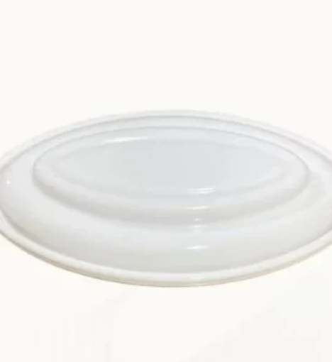 صورة حاجز عازل لمنع دخول الحليب إلى المضخة لجهاز ويرابل من سبكترا