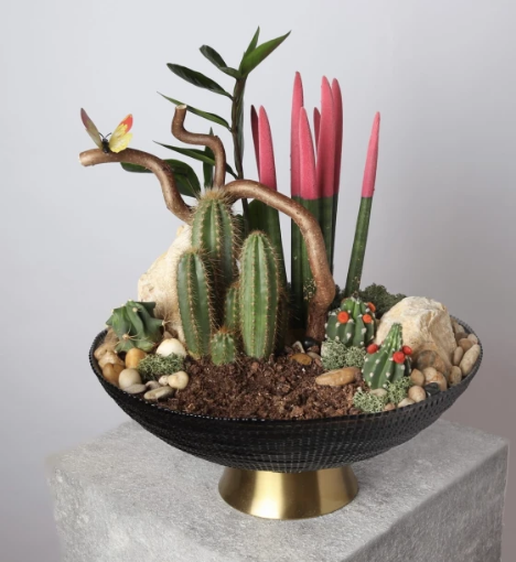 صورة نباتات طبيعية