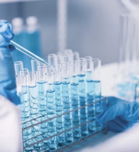 صورة باقة قُمرَة الفضية - تحاليل شاملة