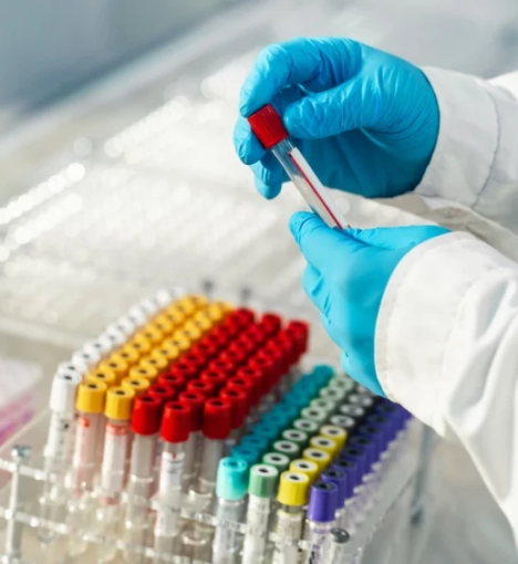 صورة باقة العام الجديد الشاملة 2025 - 24 فحص