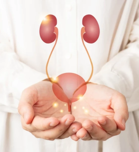 صورة باقة صحة الكلى والمسالك البولية