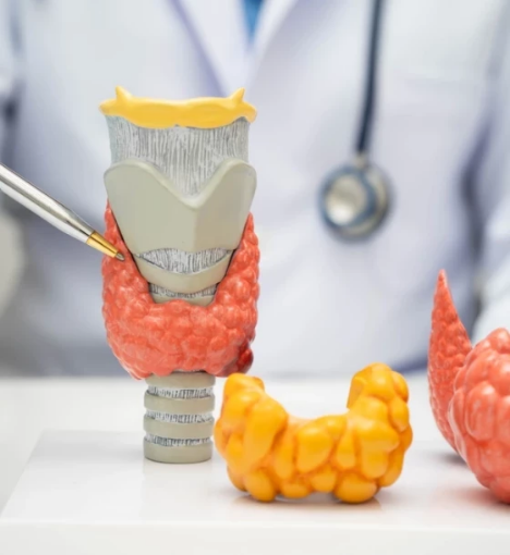 صورة باقة الغدة الدرقية