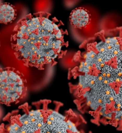 صورة باقة الفيروسات والأمراض المعدية